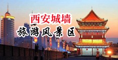 xx欧美大骚屄中国陕西-西安城墙旅游风景区